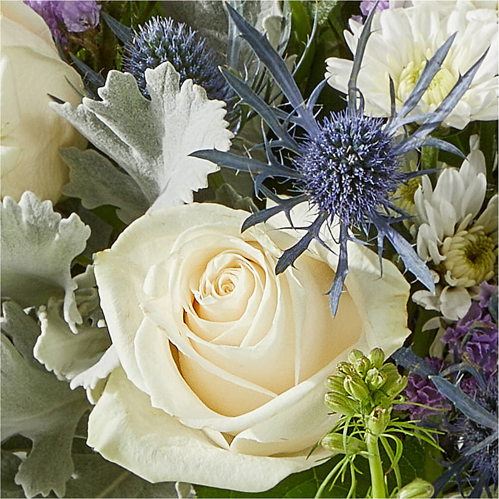 Shooting Star Bouquet – MC SHANES FLORIST & GREENHOUSE INC, Belle Vernon PA