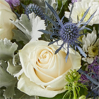 Shooting Star Bouquet – MC SHANES FLORIST & GREENHOUSE INC, Belle Vernon PA