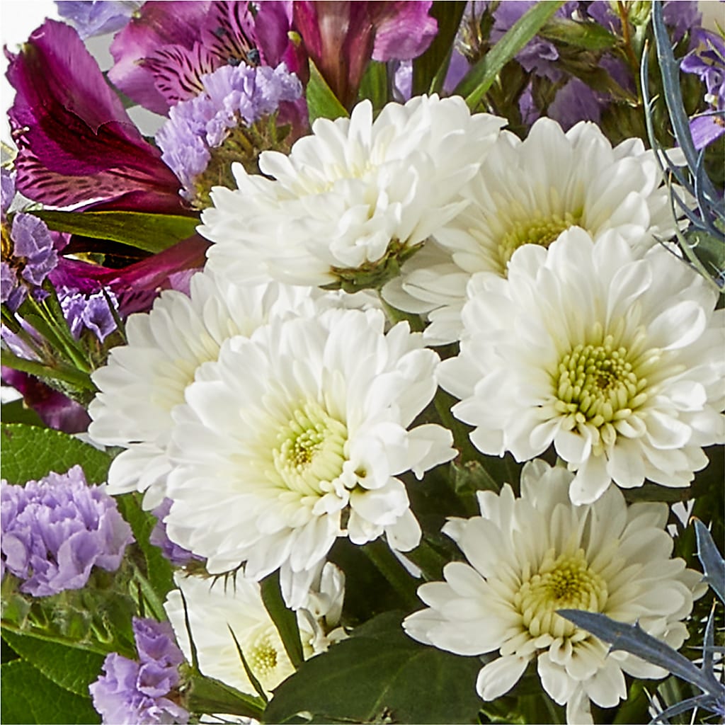 Shooting Star Bouquet – MC SHANES FLORIST & GREENHOUSE INC, Belle Vernon PA
