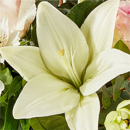 Ballet Slippers Bouquet – MC SHANES FLORIST & GREENHOUSE INC, Belle Vernon PA