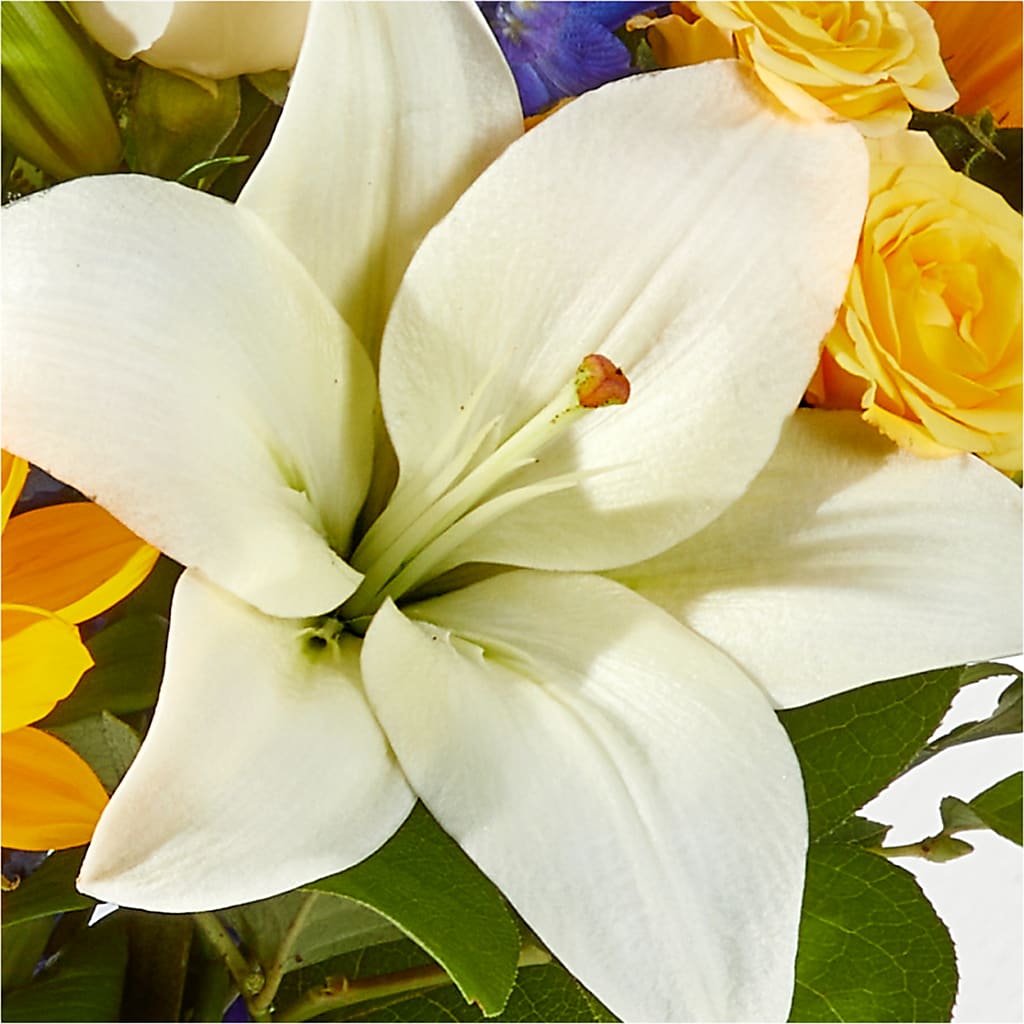 Wonderfully Sunny Bouquet – MC SHANES FLORIST & GREENHOUSE INC, Belle Vernon PA