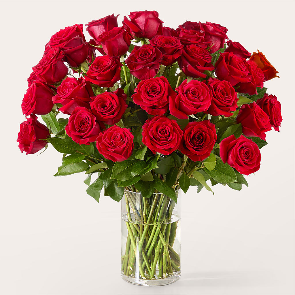 The One Red Rose Bouquet – MC SHANES FLORIST & GREENHOUSE INC, Belle Vernon PA
