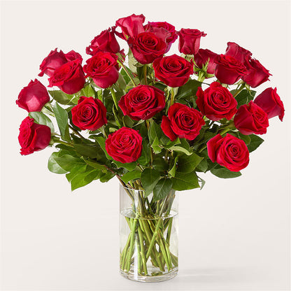 The One Red Rose Bouquet – MC SHANES FLORIST & GREENHOUSE INC, Belle Vernon PA