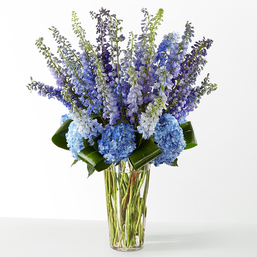 The Editorial – MC SHANES FLORIST & GREENHOUSE INC, Belle Vernon PA