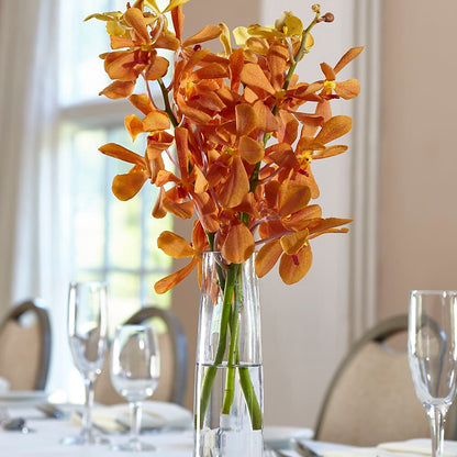 Orange Mokara Bud Vase – MC SHANES FLORIST & GREENHOUSE INC, Belle Vernon PA