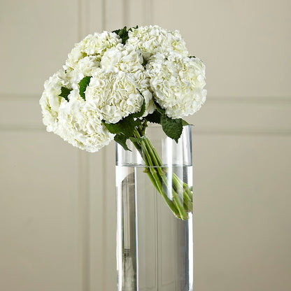 White Hydrangea Hand-Tied Bouquet – MC SHANES FLORIST & GREENHOUSE INC, Belle Vernon PA
