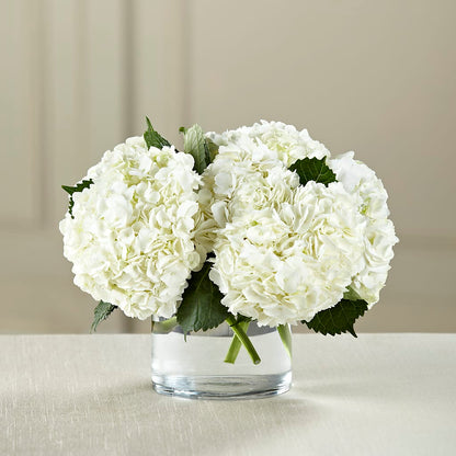 White Hydrangea Bouquet – MC SHANES FLORIST & GREENHOUSE INC, Belle Vernon PA