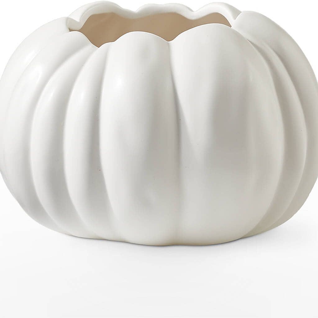 Pumpkin to Talk About Bouquet – MC SHANES FLORIST & GREENHOUSE INC, Belle Vernon PA